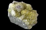 Gemmy, Yellow Fluorite Crystal Cluster - Asturias, Spain #98689-1